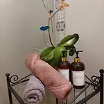 Central Lala Apartament