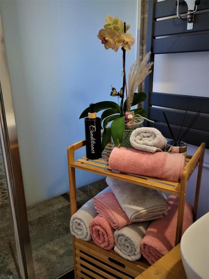 Central Lala Apartament Braşov
